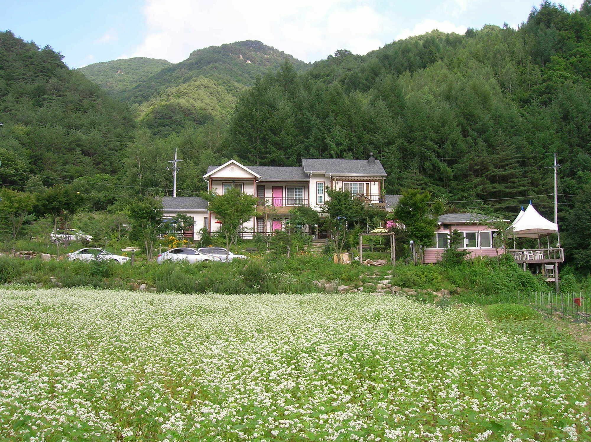 Geum Dang Lodge Yangpyeong Exteriör bild